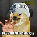 Doge’s Anomaly Site