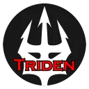 Triden Games D&D