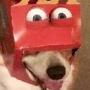 The Mcdoggie Cult