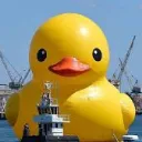 Duckland Cult