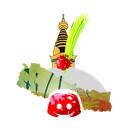 Jay Nepal icon