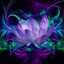 The Lily Pad