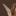 ๐ท๐๐๐๐๐๐'s icon