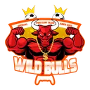 WILD BULLS