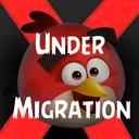 Birds In Really Dumb Situations