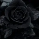 ♦♠♣♥