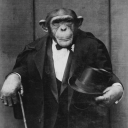 ChimpClub