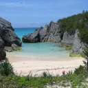 The Cove