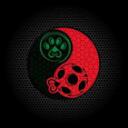     MIRACULOUS     Discord Server Icon