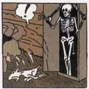 The Adventures Of Tintin