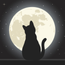Moonlight