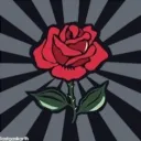 The Rose Garden