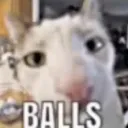 The Balls Part 2: Electric Boogaloo