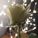 ควรนอน
