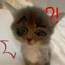  𝑺𝑪𝑪 𝑹𝒆𝒃𝒊𝒓𝒕𝒉  Discord Server Icon