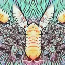 Inquisitive Invertebrates