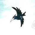 SOAR!