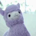 ภєฬ lค๓ค tєค๓