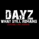 DAYZ WSR