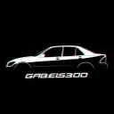 GABEIS300