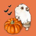 Hamster Care Central icon
