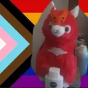 Alpaca Land!