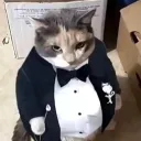 the