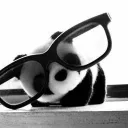 This Server Has No Name (organ... Discord Server Icon