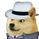 funni dog discord