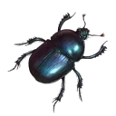 the quest for koichis bug