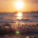Tidal Treasures icon
