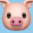 Meaty Members