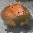 Capybara Squad
