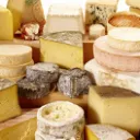 Moldy Cheese Club