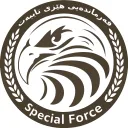 هێزی تایبەت