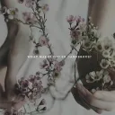 Garden of Whores