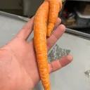 Crisp's Server