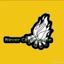Never Camp Alone (official server)