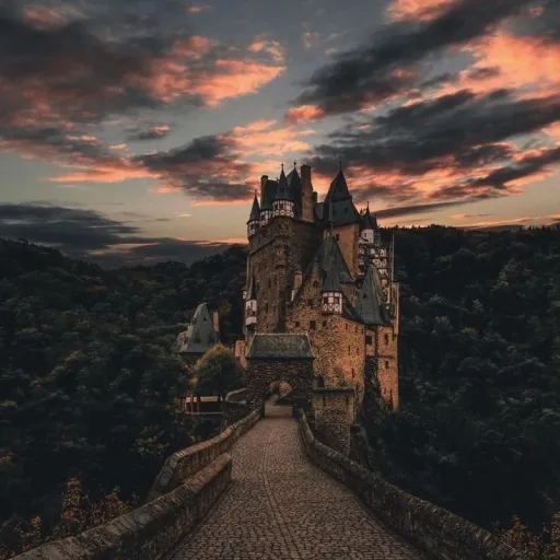 Hogwarts RP — мониторинг Discord сервера, статистика и рейтинг
