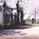 Calamity High Discord server icon