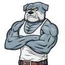 Madx_xDogs House