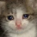 The Saddest of the Sads