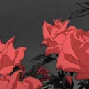 🌹Red Roses🌹