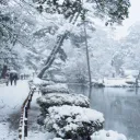 Esther’s Wintry Woods