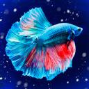 The Waters of Fish Discord Server Icon