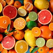 Citrus (в разработке) — мониторинг Discord сервера, статистика и рейтинг