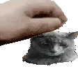 UltrajohnLM