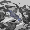 The Crow's Stash