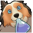 Sheltie's Lab