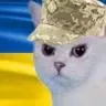 💙MDA💛 — мониторинг Discord сервера, статистика и рейтинг